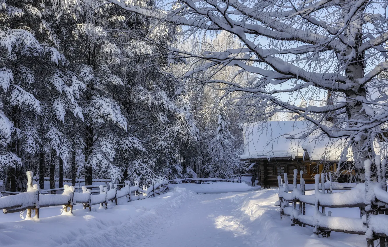 Фото обои зима, лес, снег, пейзаж, природа, дом, забор, ограждение