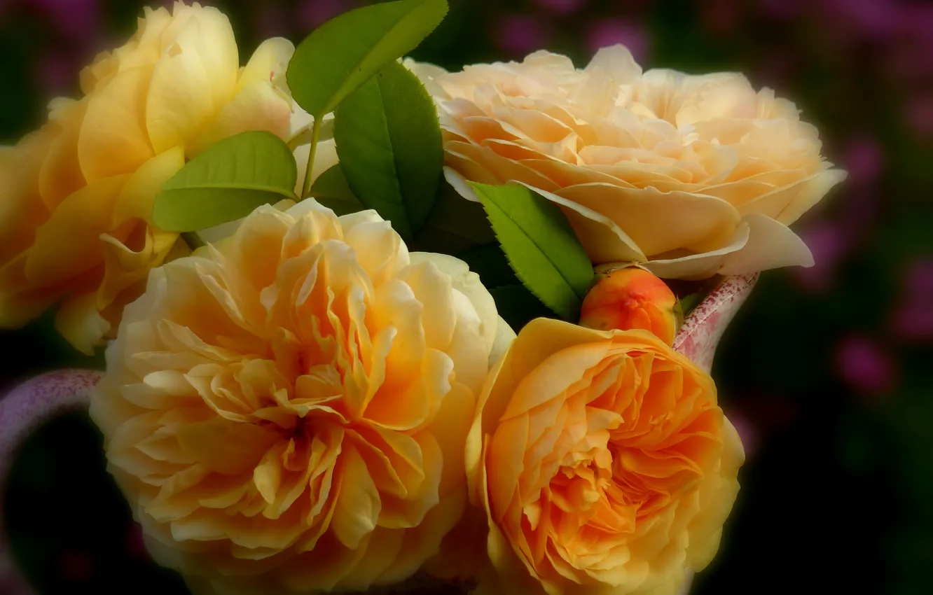 Фото обои макро, розы, жёлтые розы