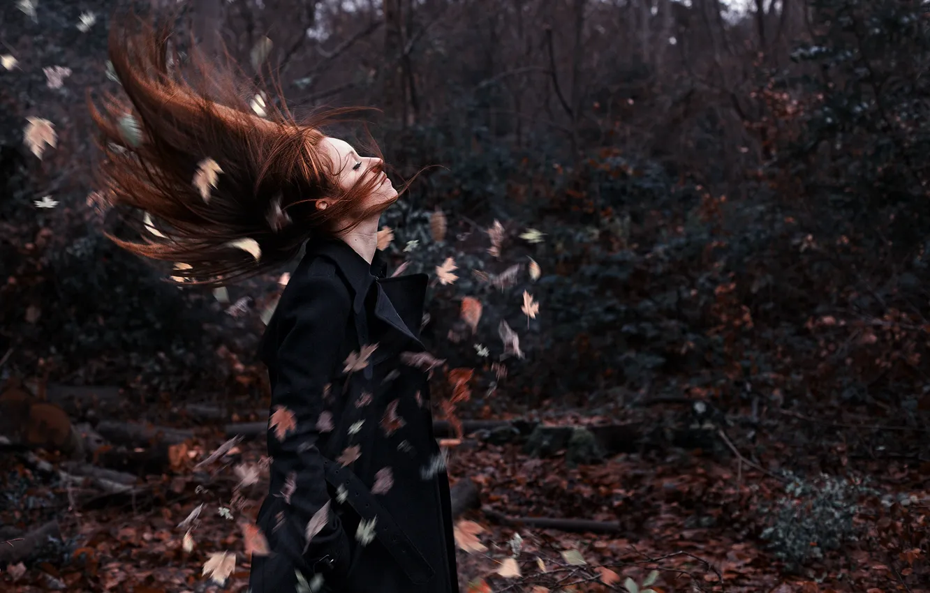 Фото обои листья, девушка, ветер, ситуация