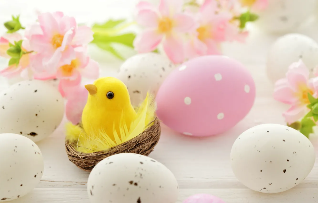 Фото обои цветы, яйца, Пасха, гнездо, flowers, spring, Easter, eggs
