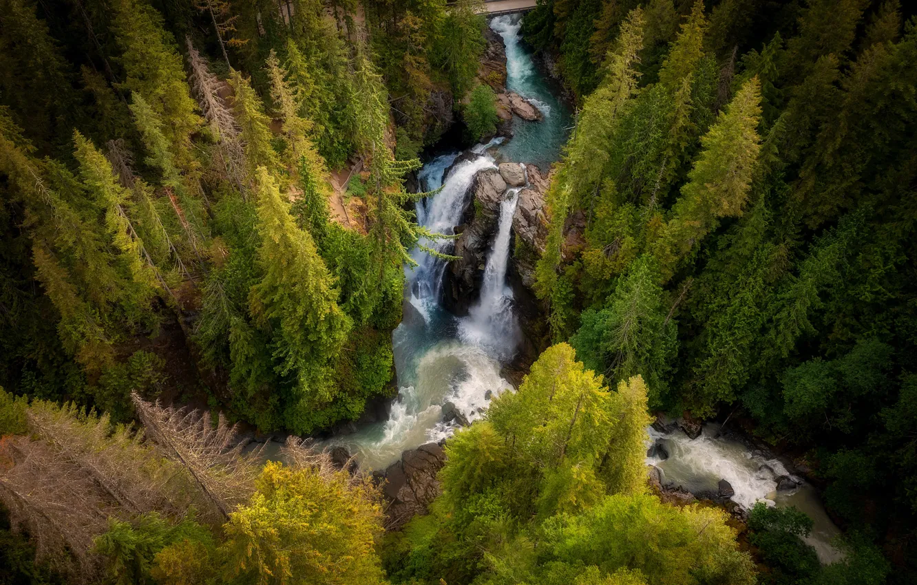 Фото обои лес, скалы, водопад, ели, вид сверху, вид с высоты