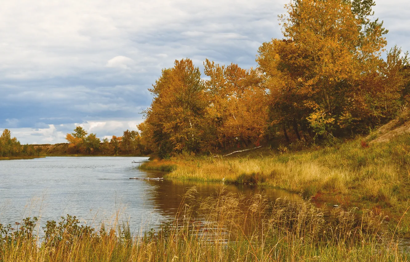 Фото обои Природа, Осень, Деревья, Река, Fall, Autumn, Colors, River