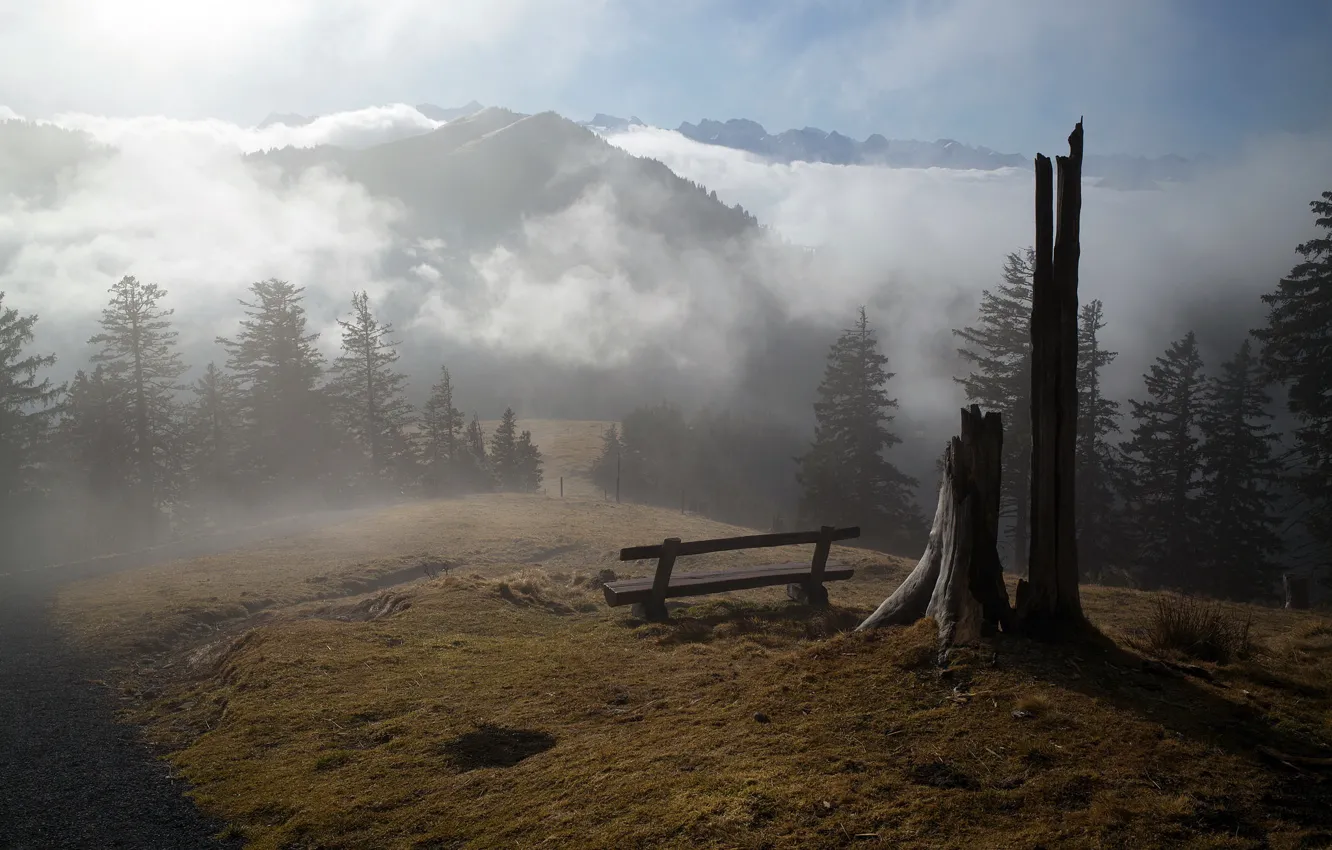 Фото обои горы, туман, утро, скамья