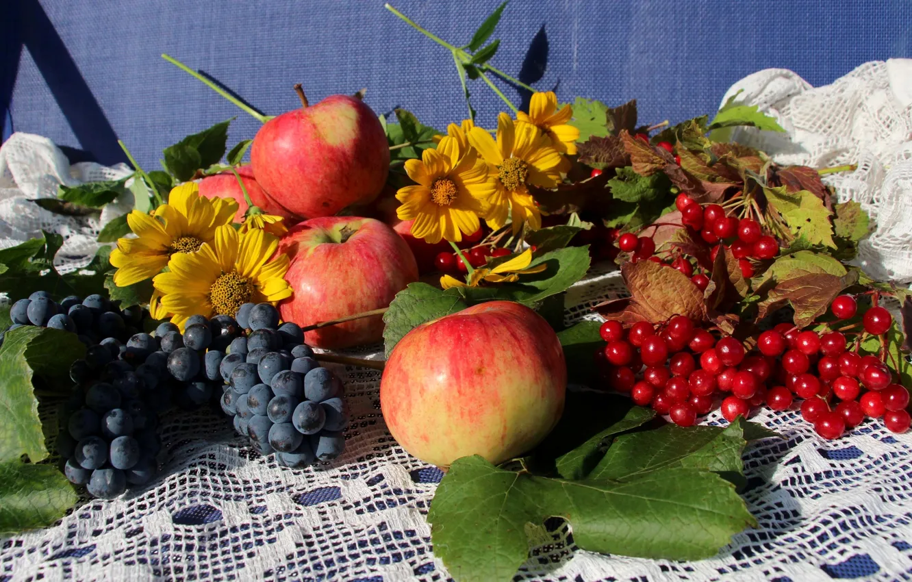Фото обои яблоки, виноград, калина