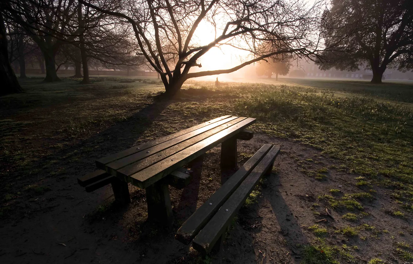 Фото обои солнце, скамейка, стол, Природа