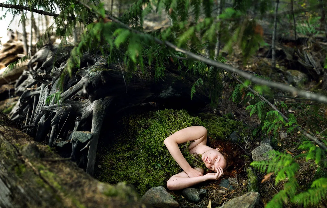 Фото обои лес, девушка, мох, ситуация