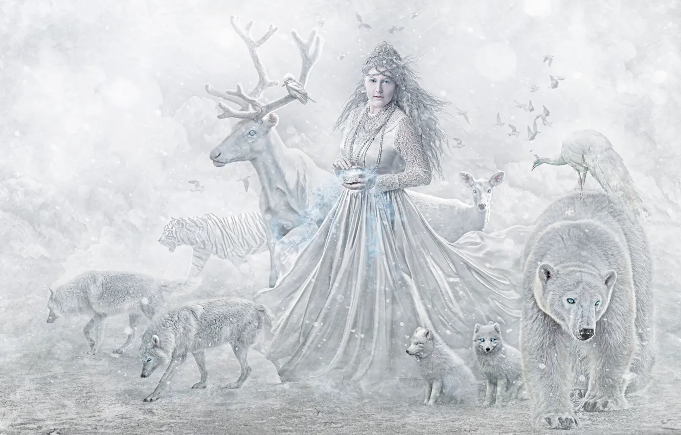 Фото обои животные, девушка, звери, олень, медведь, волки
