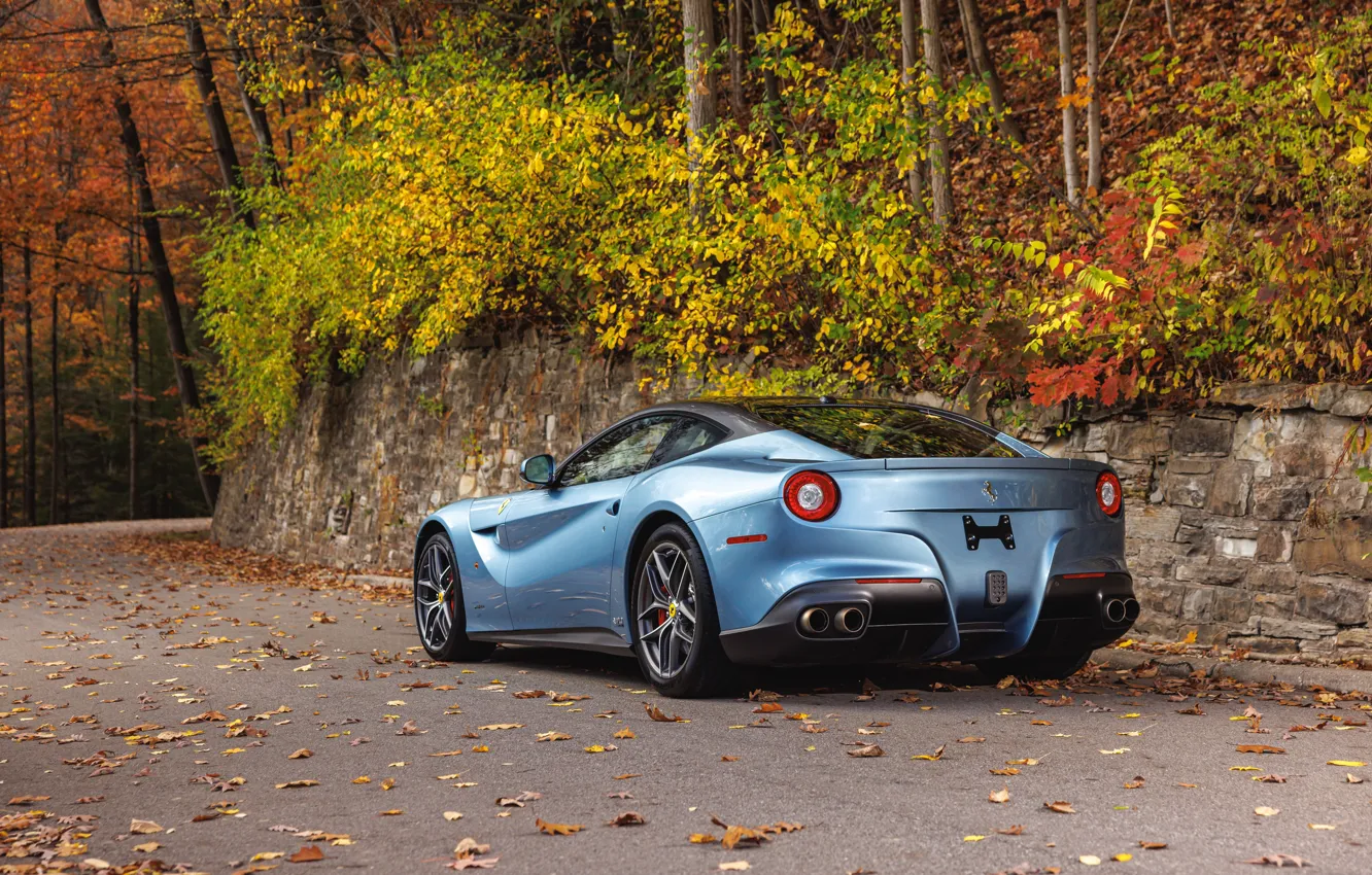 Фото обои Ferrari, F12, rear view, Ferrari F12berlinetta "The Barchetta"