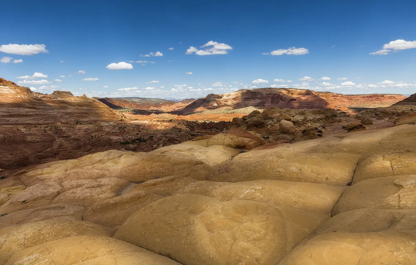 Фото обои Аризона, США, плато Колорадо, Койот Баттес