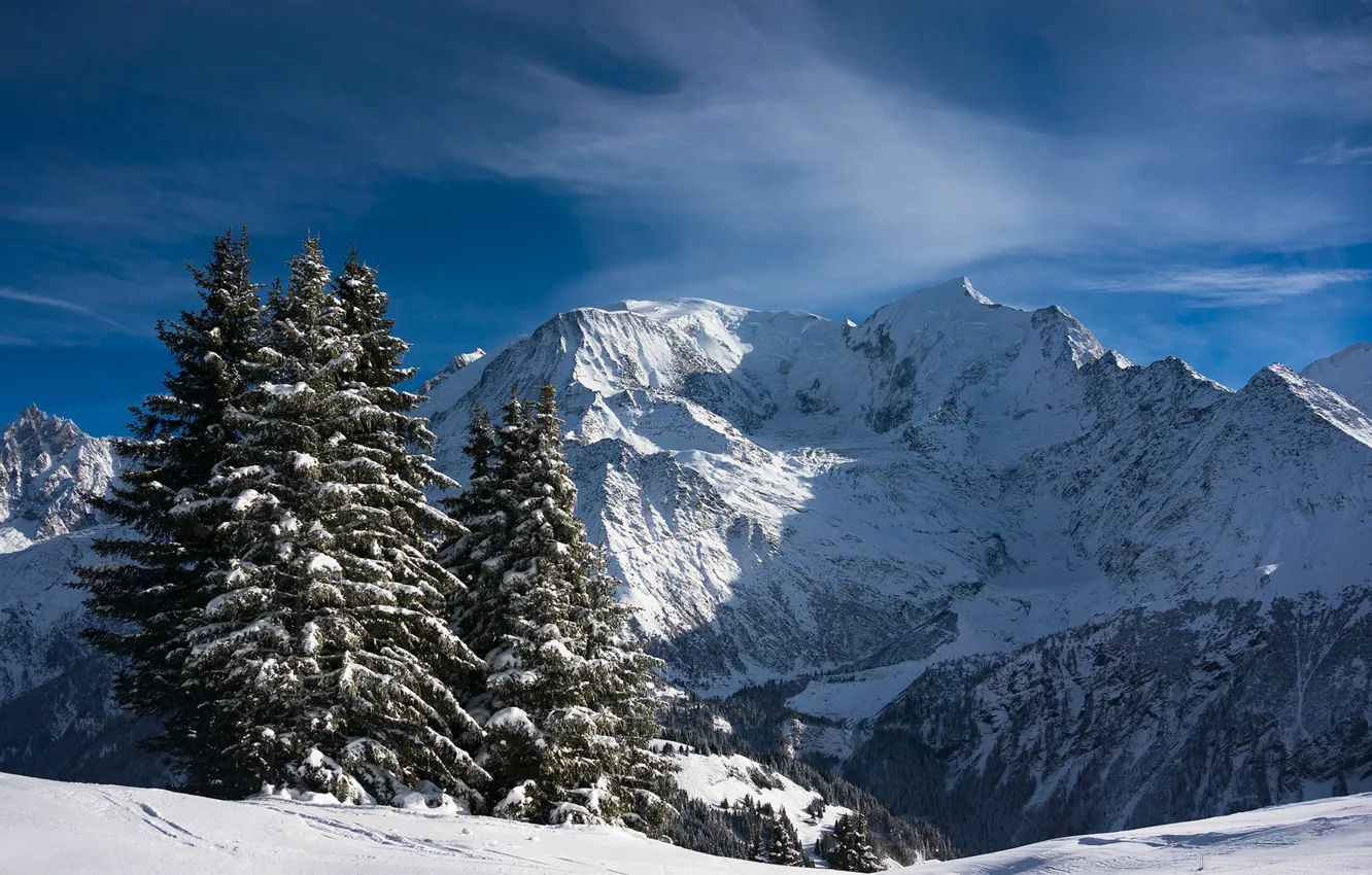 Фото обои снег, горы, Франция, ели, Альпы, France, Alps, Монблан