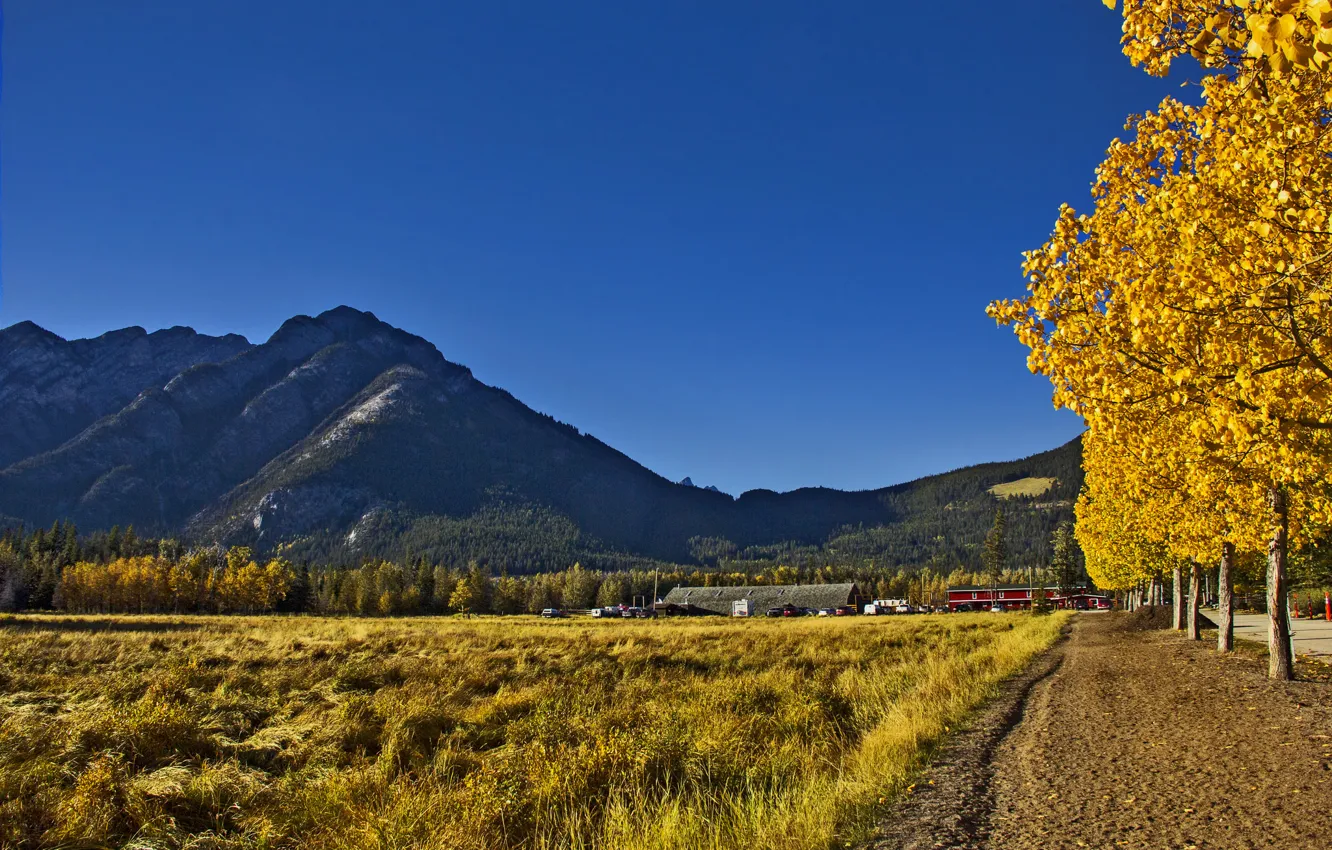 Фото обои осень, небо, трава, деревья, горы, дома
