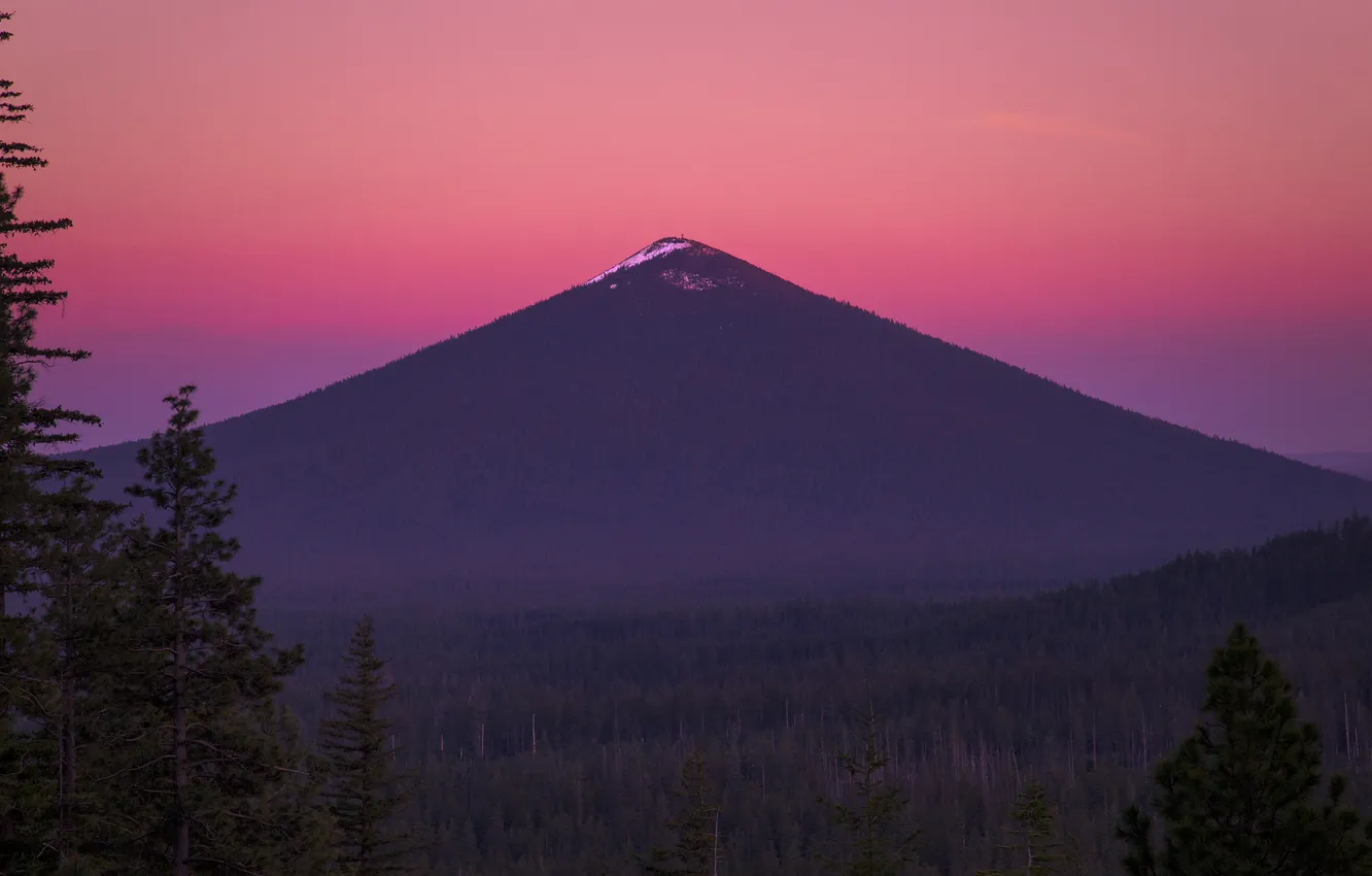 Фото обои лес, закат, гора, Орегон, forest, сша, Oregon, sunset
