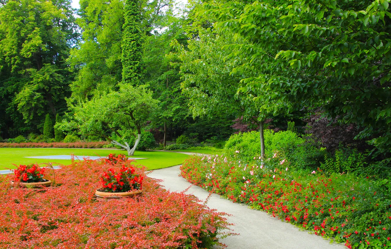 Фото обои flower, trees, park, garden, alley