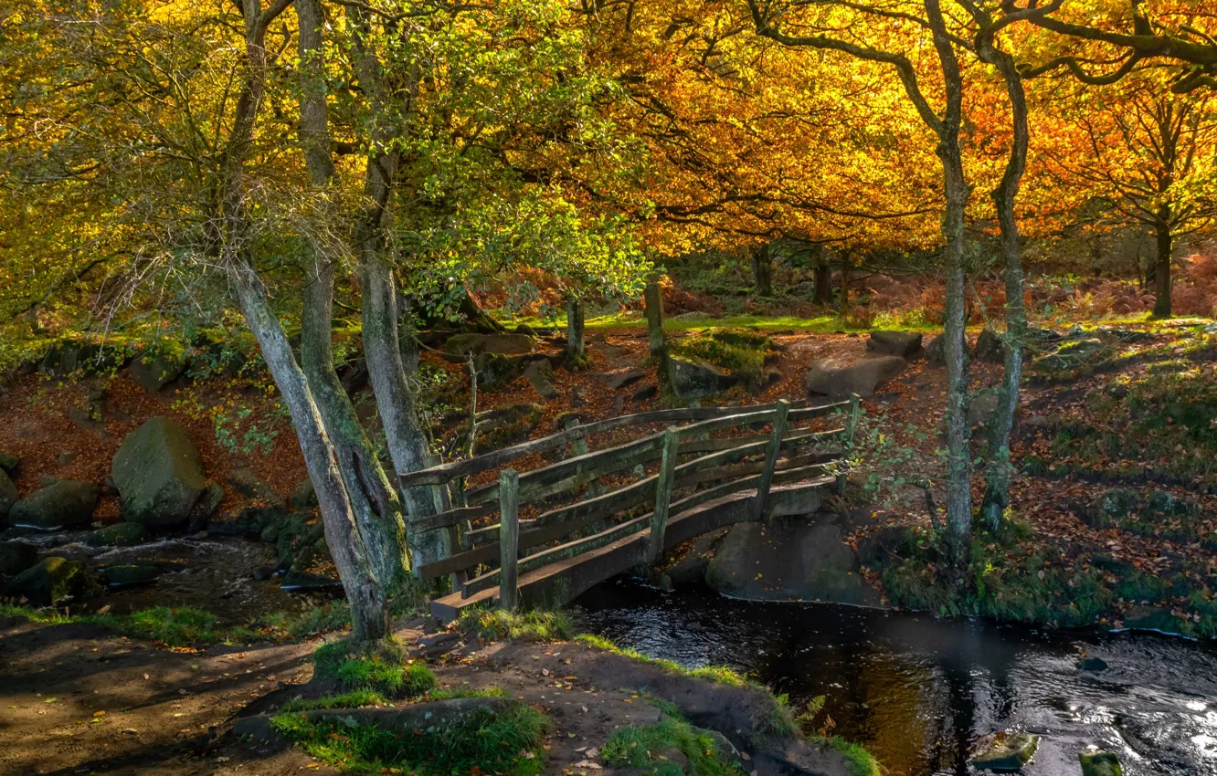Фото обои осень, лес, деревья, пейзаж, природа, камни, речка, мостик