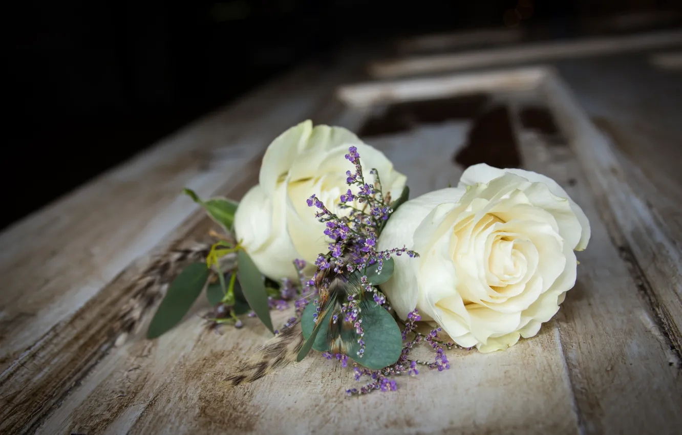 Фото обои листья, роза, лепестки, бутон, rose, цветение, petals, blossoms