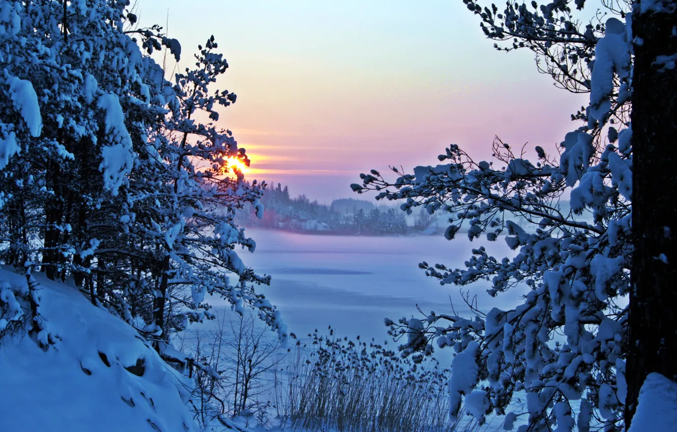 Фото обои зима, снег, природа, утро