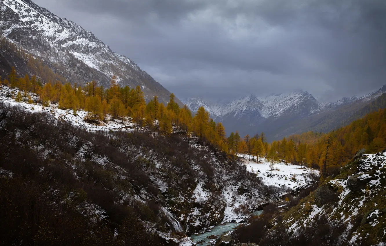 Фото обои деревья, горы, река