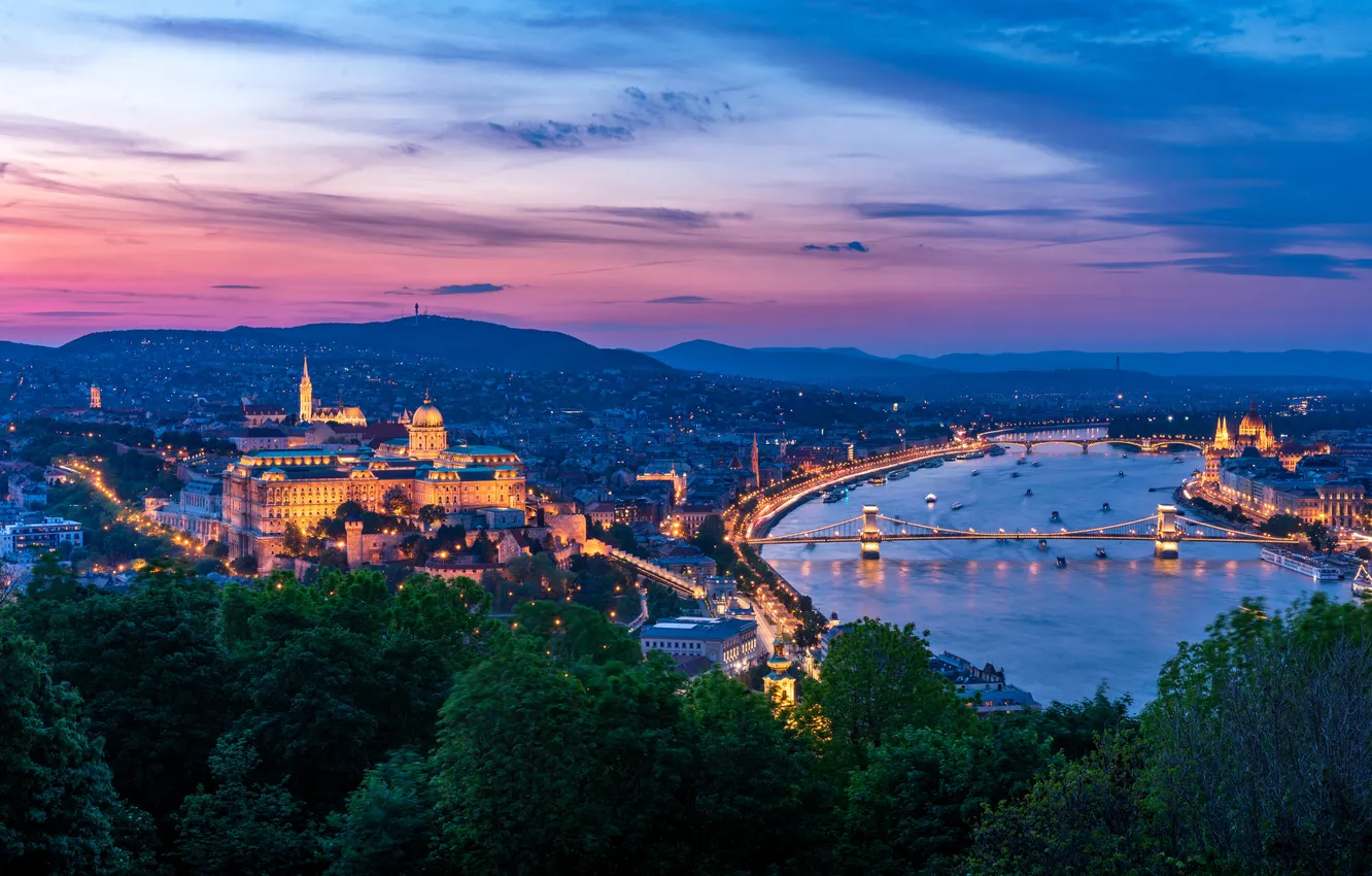 Фото обои city, lights, river, trees, sunset, night, Budapest, Danube