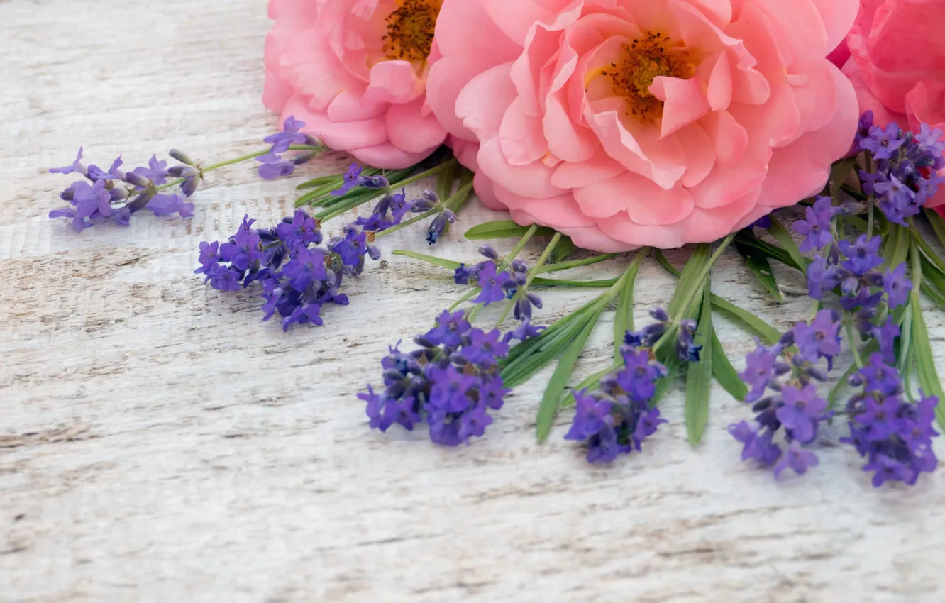 Фото обои цветы, розовые, бутоны, wood, pink, flowers, лаванда, bud