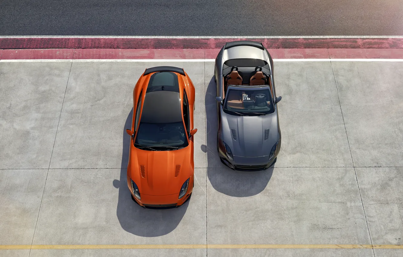 Фото обои Jaguar, Авто, Кабриолет, Серый, Оранжевый, Convertible, 2016, F-Type SVR