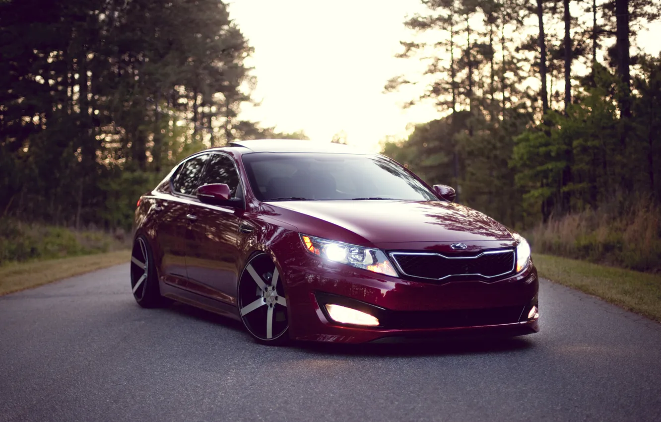 Фото обои дорога, лес, road, wood, киа, stance, clean, kia optima