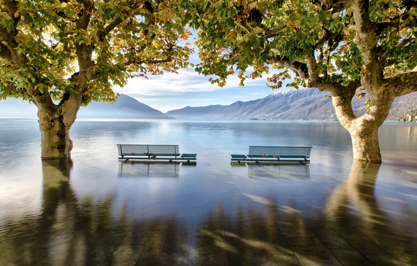 Фото обои вода, деревья, горы, озеро, Швейцария, Альпы, наводнение, скамейки