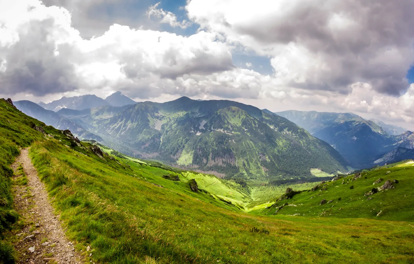 Фото обои трава, облака, горы, камни, тропа, склон, Польша, ущелье