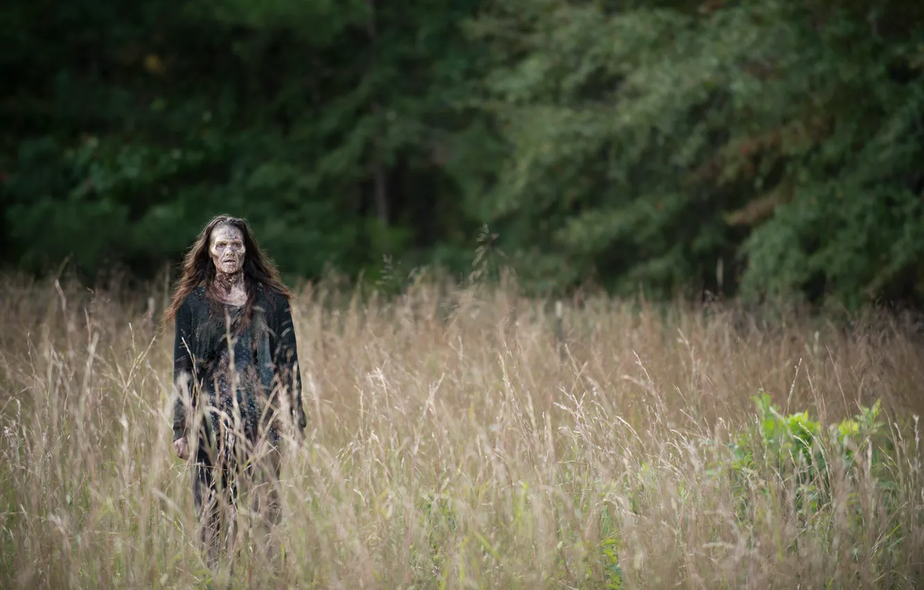 Фото обои ужас, The Walking Dead, Ходячие