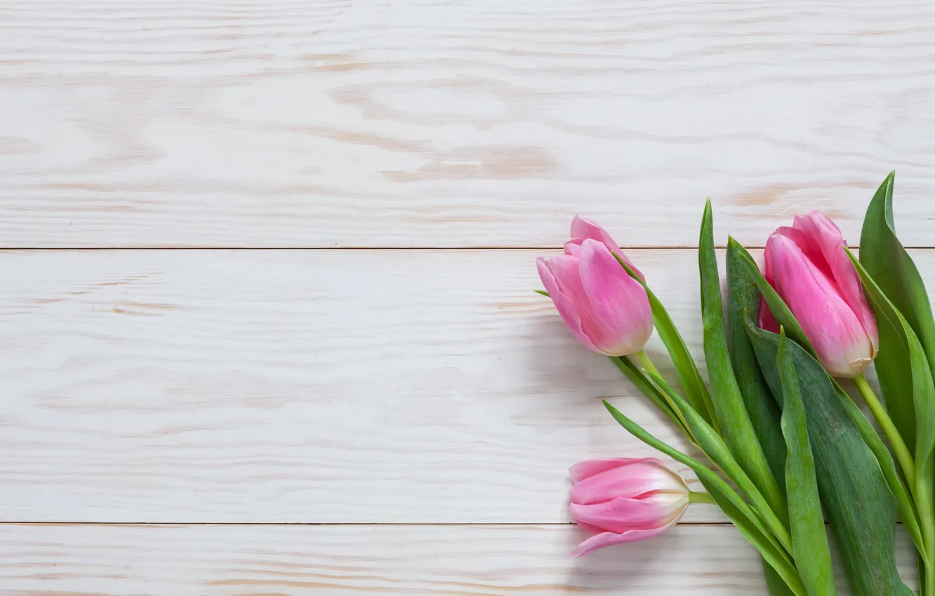 Фото обои цветы, букет, тюльпаны, розовые, pink, flowers, beautiful, romantic