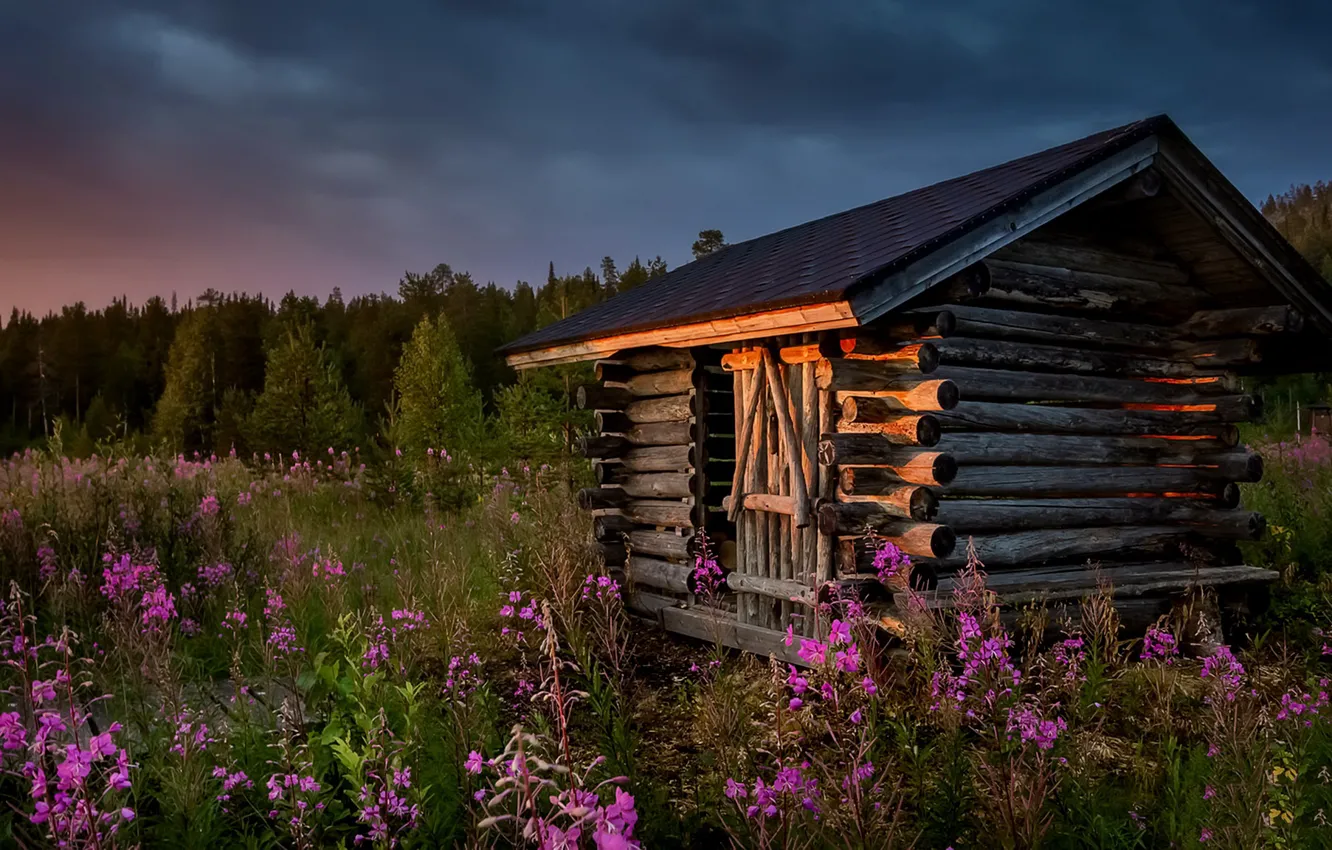 Фото обои лето, закат, цветы, дом