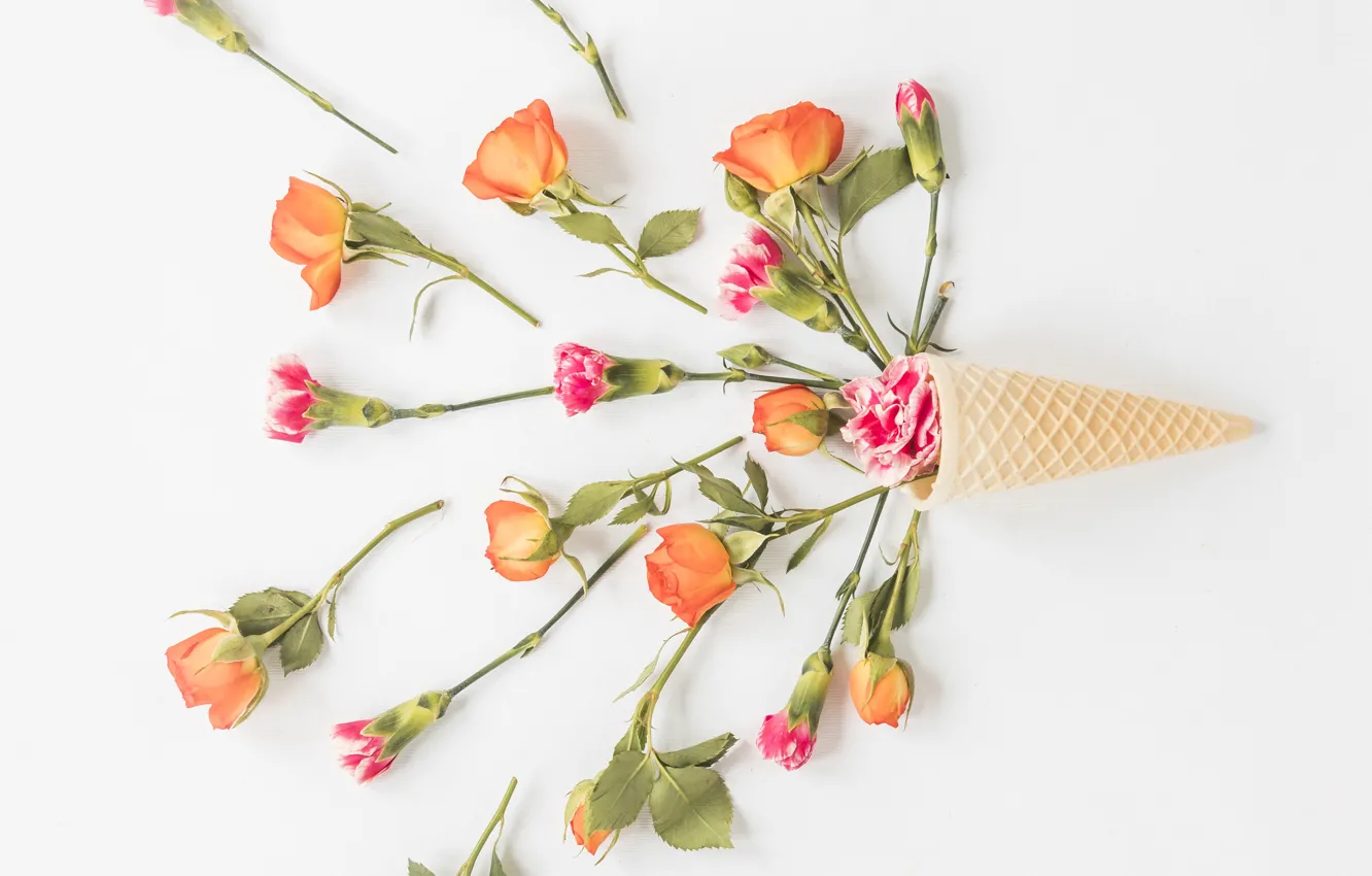 Фото обои белый, фон, розы, flower, roses, гвоздики, вафельный рожок