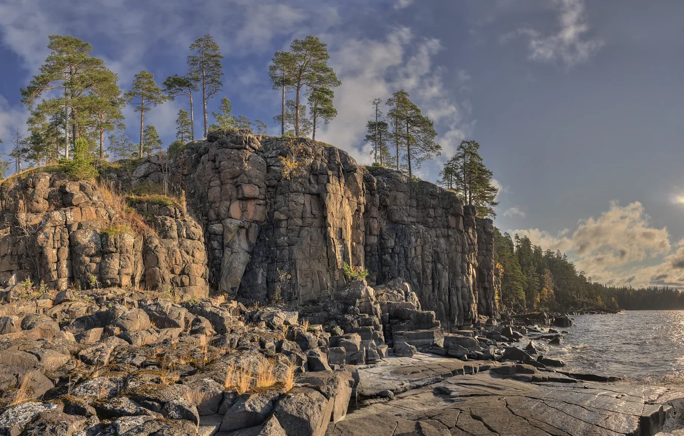 Фото обои деревья, пейзаж, природа, скалы, Ладожское озеро, Ладога, Сергей Гармашов