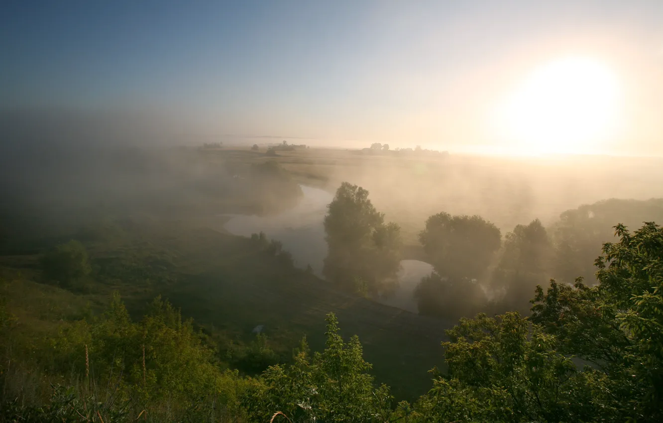 Фото обои лето, туман, река, утро, луг