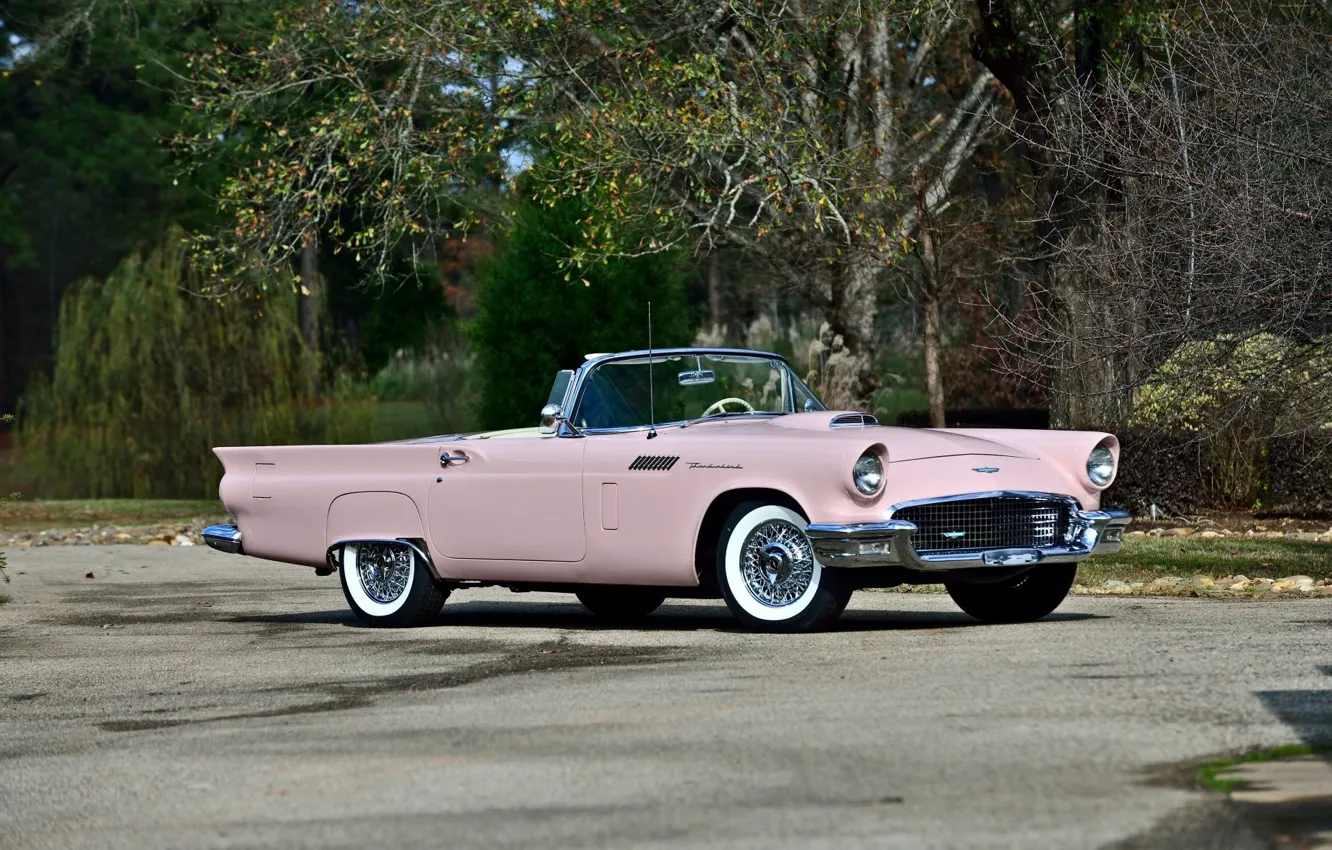 Фото обои vintage, convertible, pink, classic, 1957, old car, Ford Thunderbird
