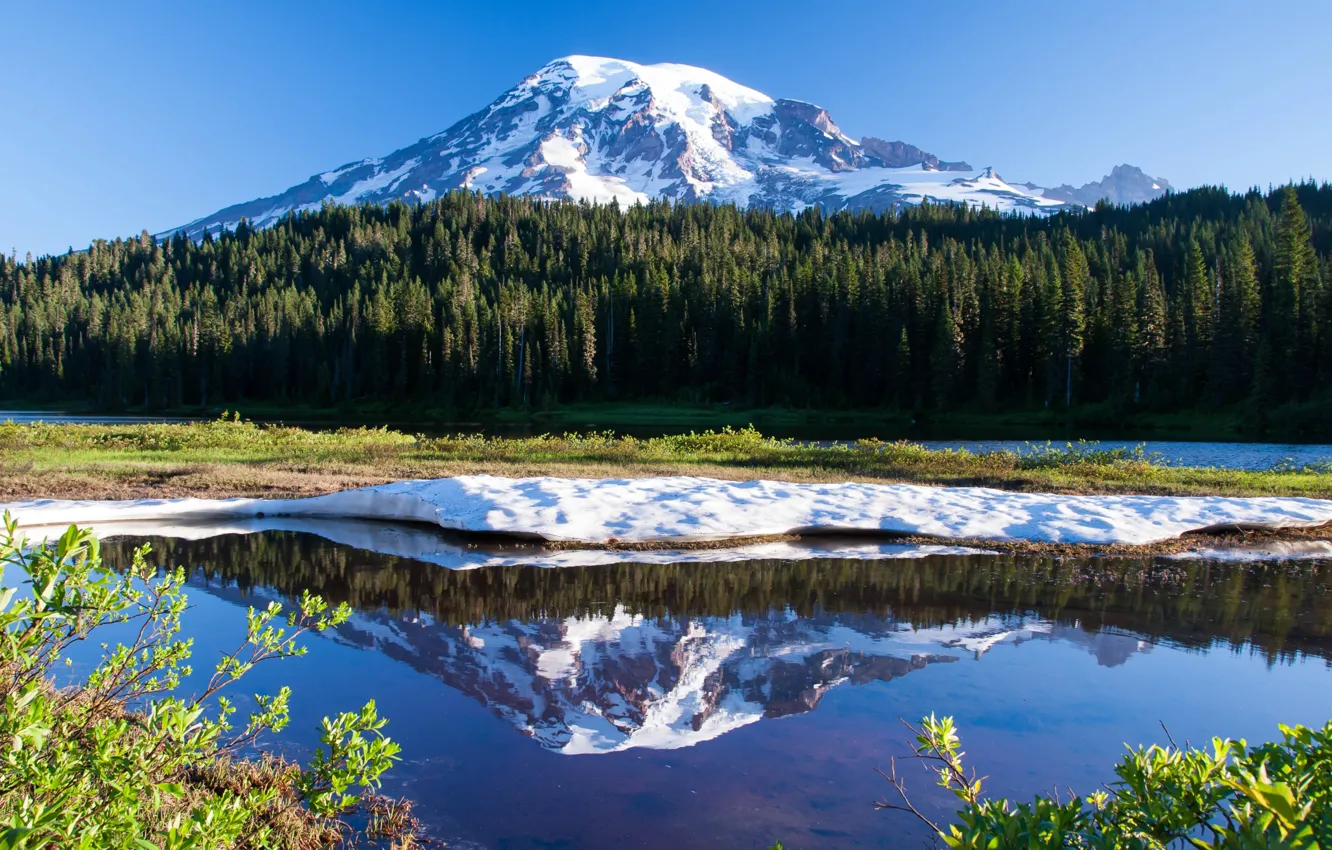Фото обои озеро, отражение, США, штат Вашингтон, гора Рейнир