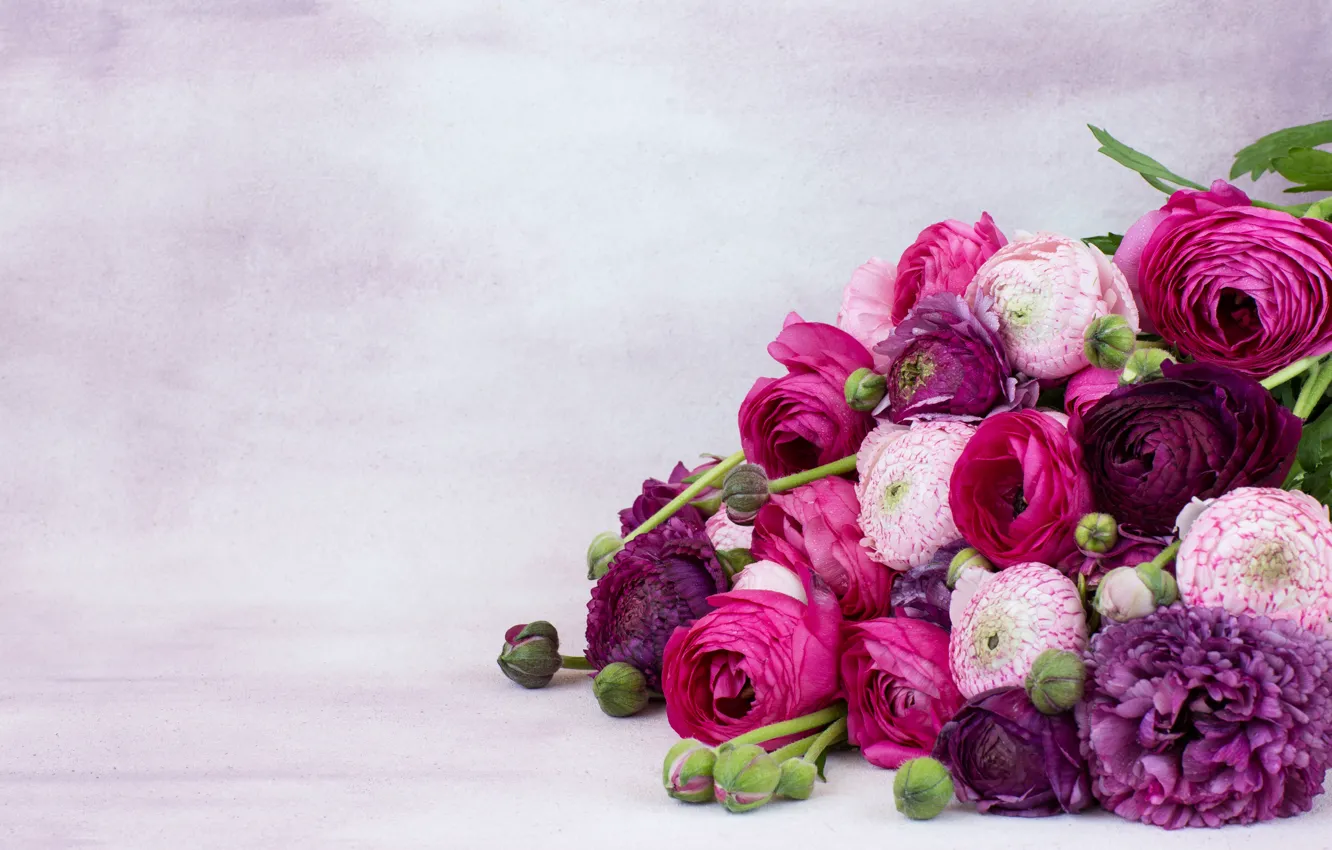 Фото обои цветы, фон, розовый, букет, азиатский, лютик
