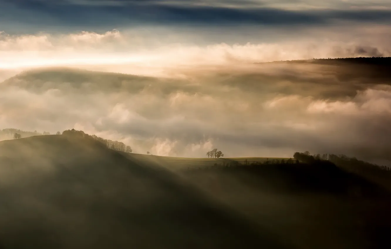 Фото обои природа, туман, утро