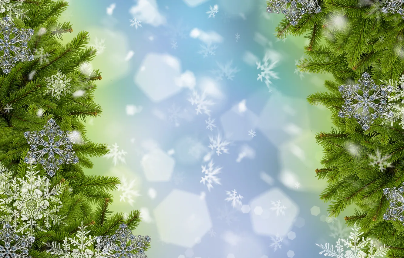 Фото обои снег, снежинки, ветки, ёлка