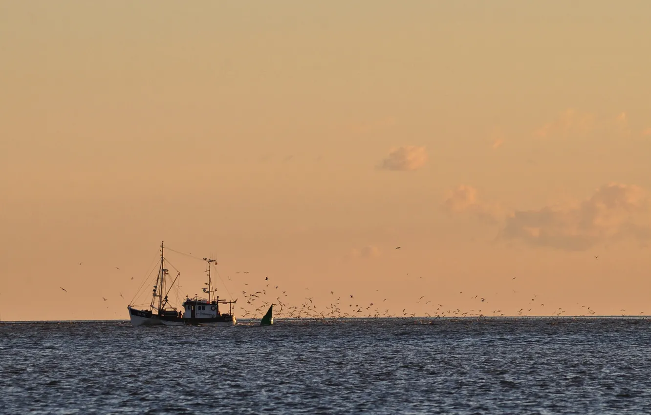 Фото обои twilight, sea, ocean, sunset, seascape, dusk, horizon, fisherman