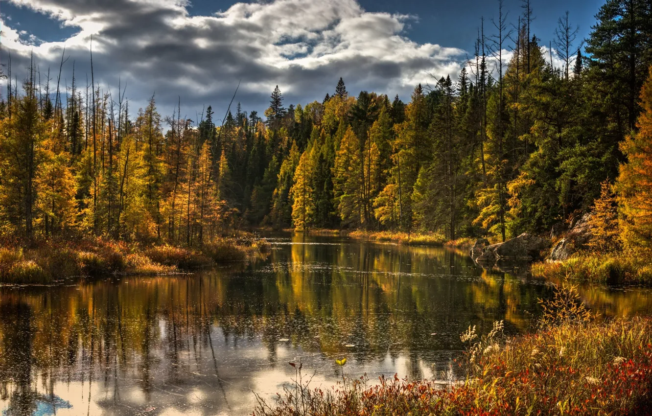 Фото обои осень, лес, деревья, природа, озеро