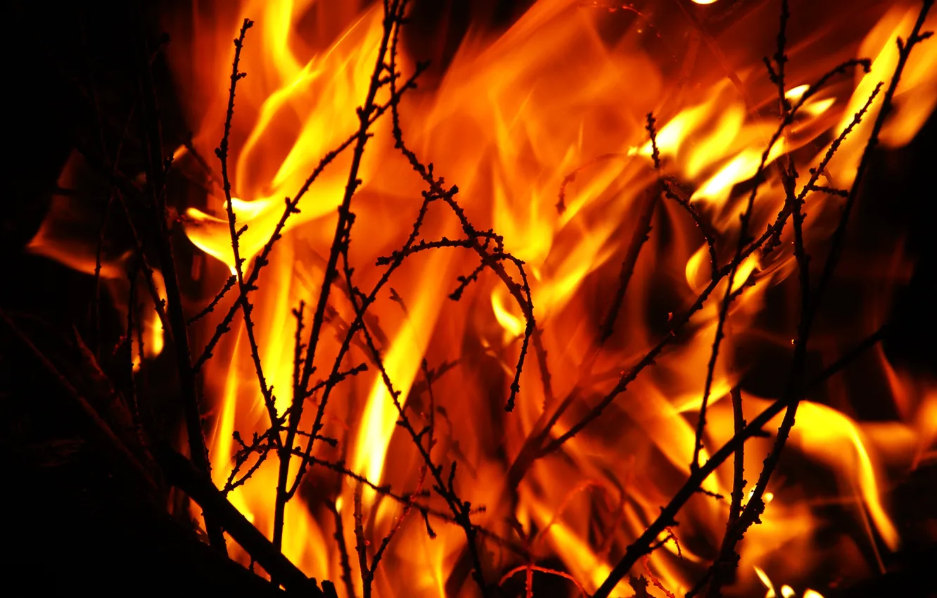 Фото обои ночь, огонь, пламя, костер