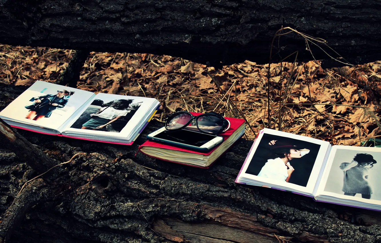 Фото обои лес, листья, дерево, листва, книги, очки, книга, телефон