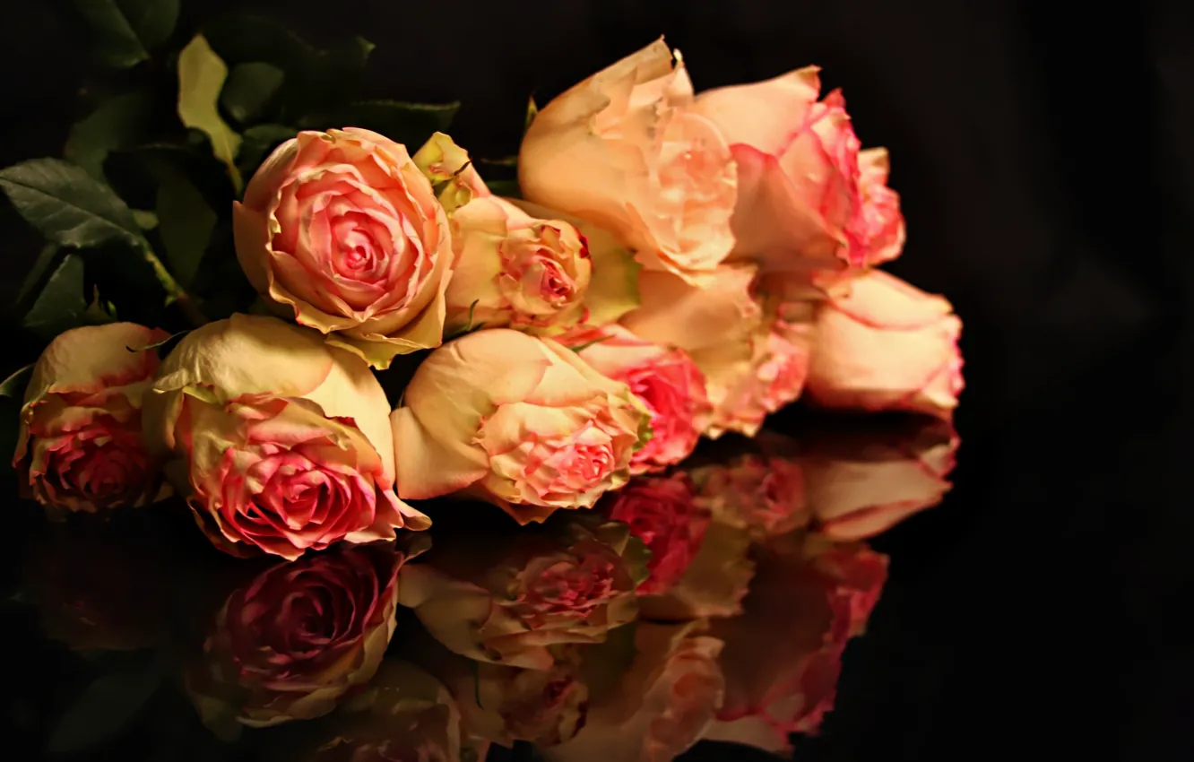 Фото обои цветы, темный фон, розовый, Розы, бутоны