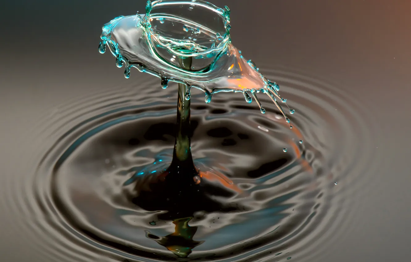 Фото обои вода, круги, брызги, капля, всплеск, жидкость