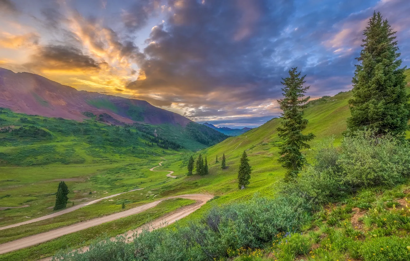 Фото обои дорога, лес, лето, небо, облака, горы, тучи, даль