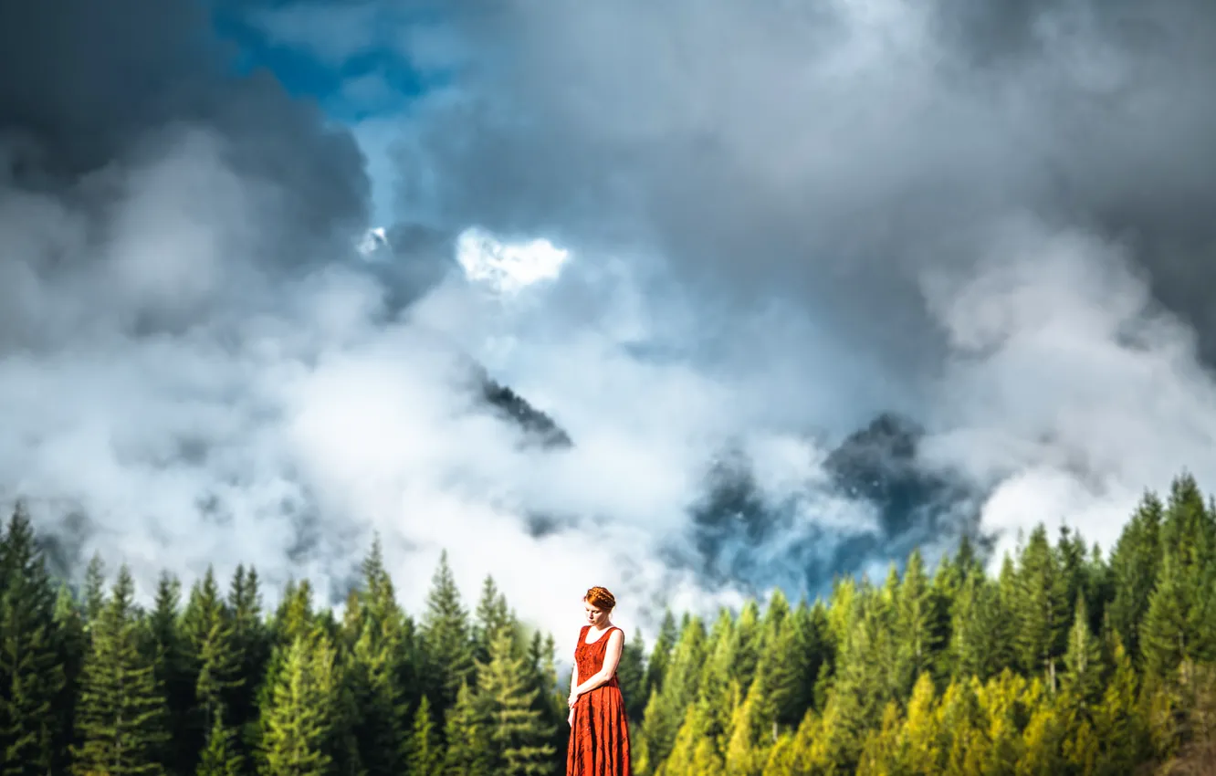 Фото обои лес, небо, девушка, облака, Lizzy Gadd, Beauty of the Forest