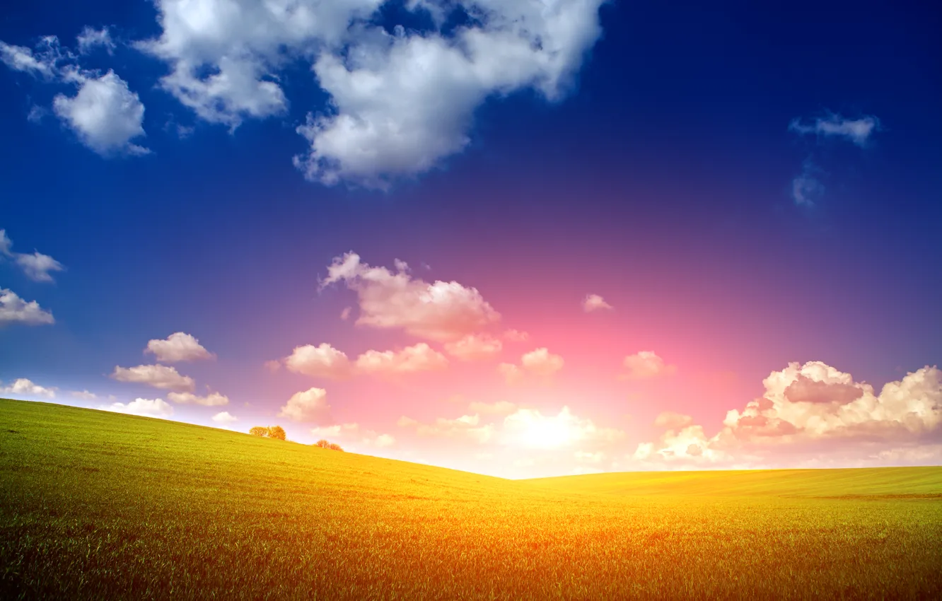 Фото обои поле, небо, трава, солнце, облака, рассвет