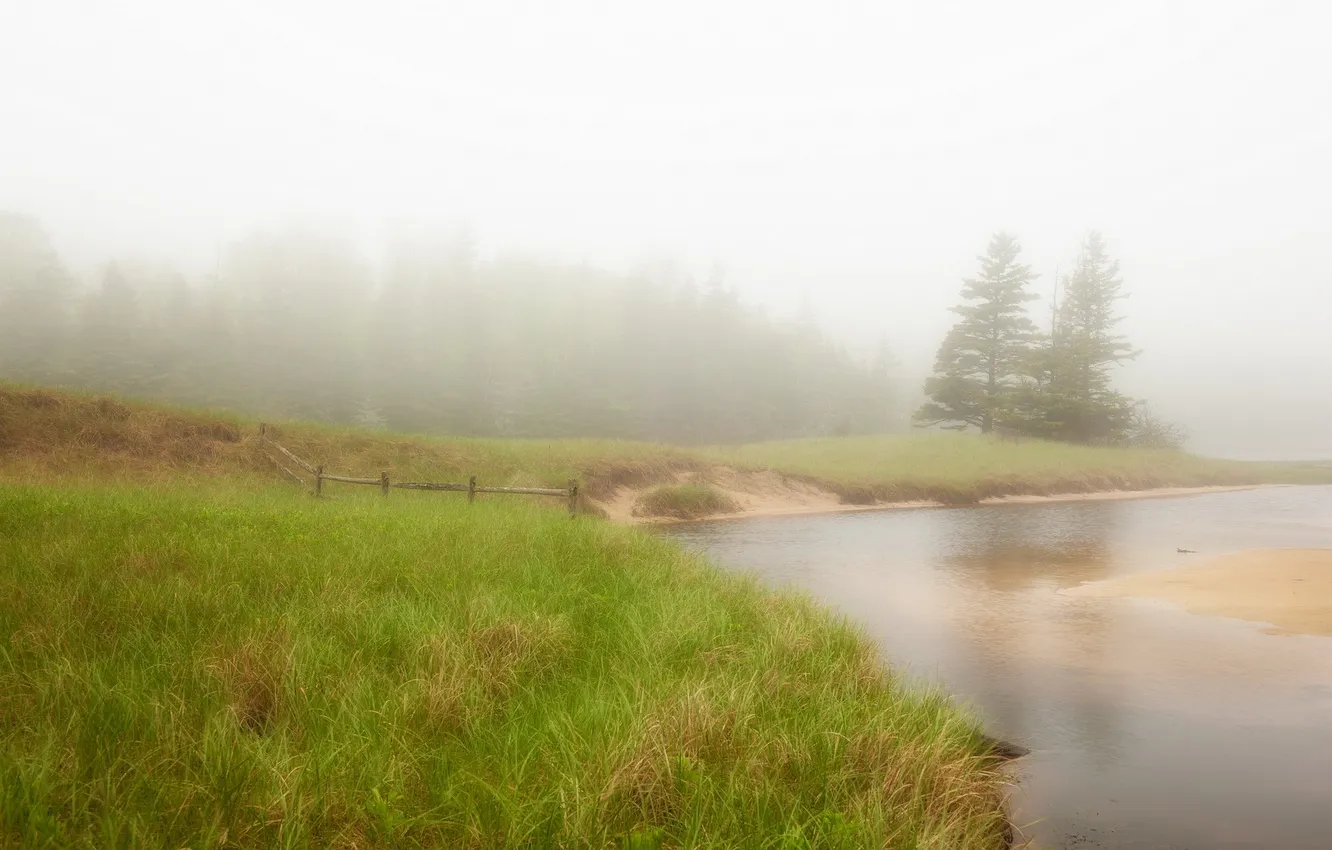 Фото обои природа, туман, река