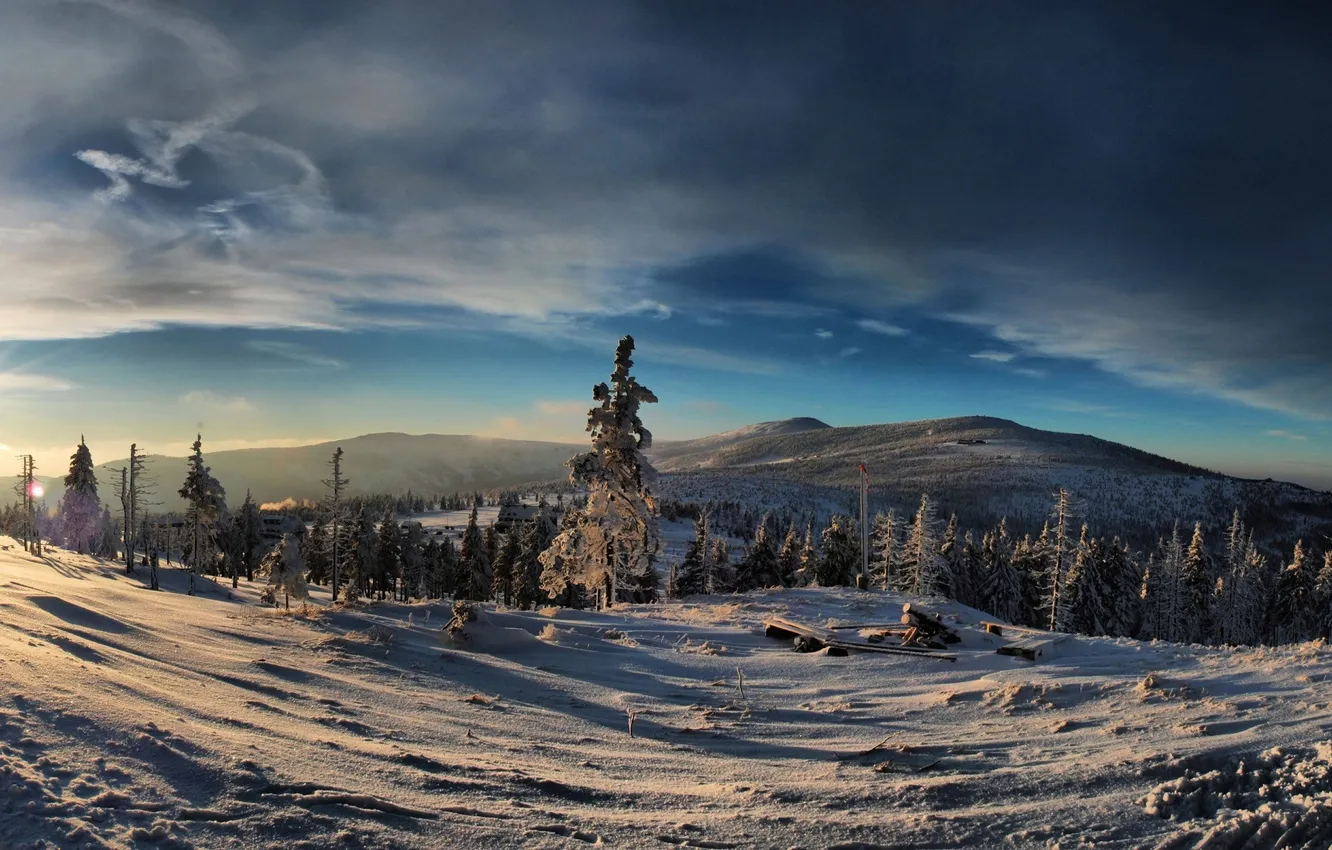 Фото обои зима, лес, небо, горы