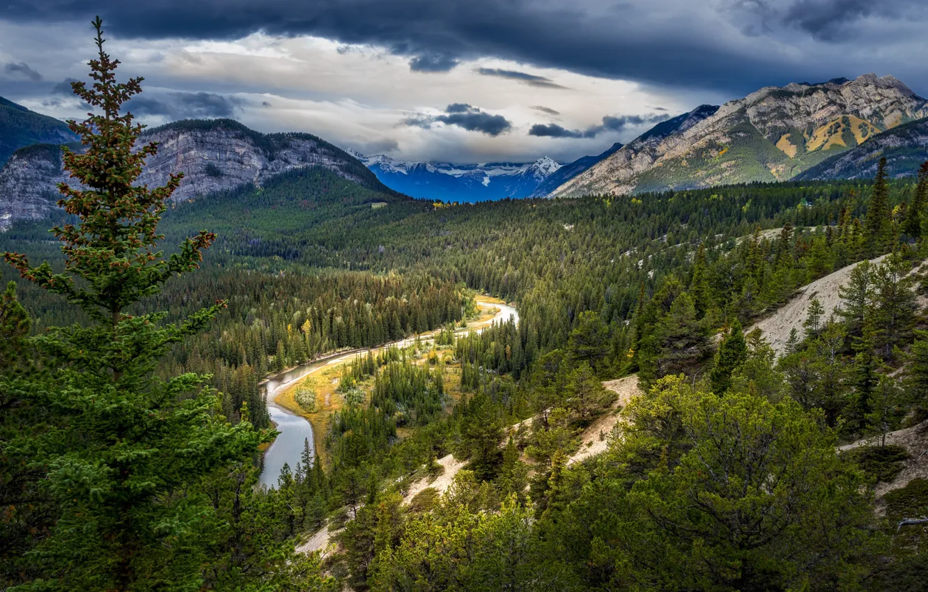 Фото обои горы, река, Канада, панорама, Альберта, леса, заповедник, Национальный парк